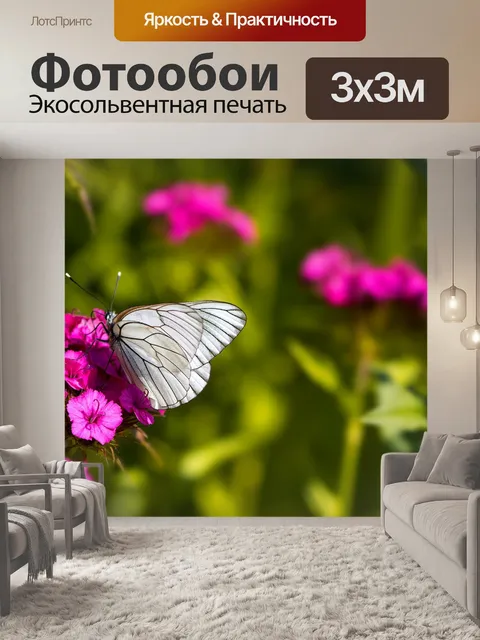 Фотообои Дерево белое