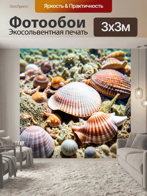 Фотообои текстура ракушек на морском дне