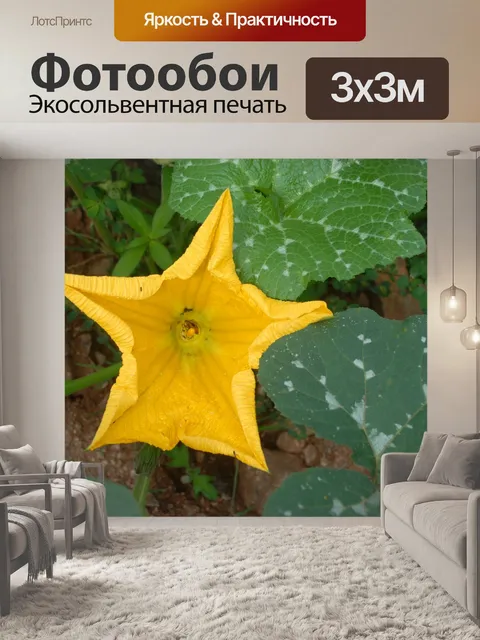 Фотообои Цветок