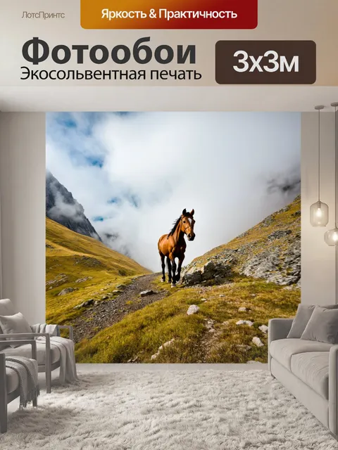 Фотообои лошадь, преодолевающая горную перевалку, с облаками вокруг