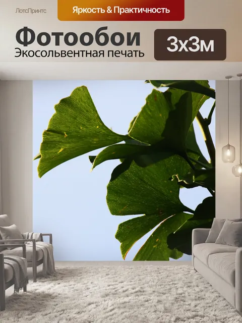 Фотообои волнистые листья гинкго билоба