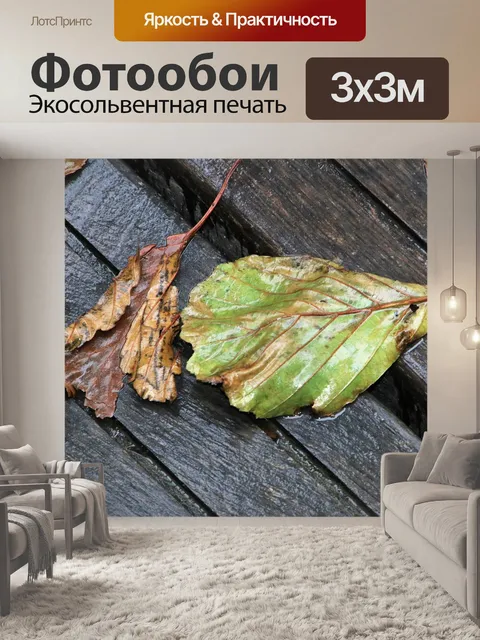 Фотообои Дождь