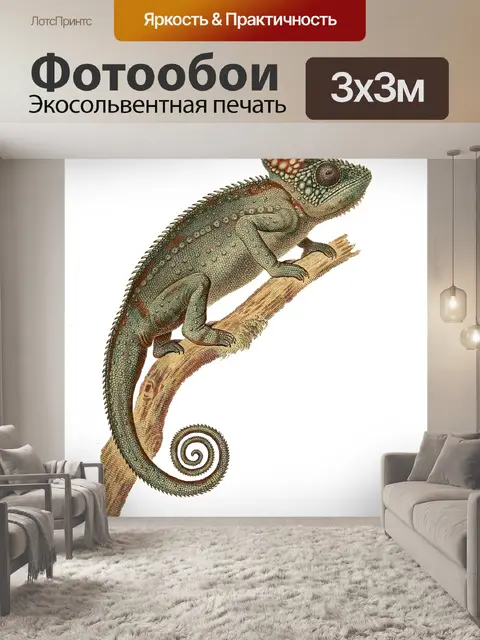 Фотообои Хамелеон старинный старый клипарт