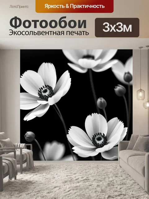 Фотообои минималистичные цветы в черно-белом цвете