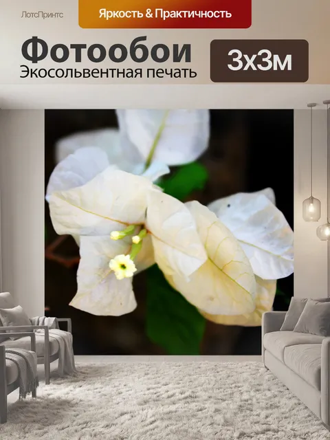 Фотообои белые цветы 5