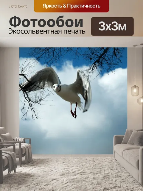 Фотообои Летающий