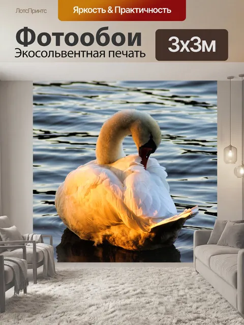 Фотообои Лебедь