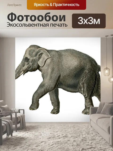 Фотообои Слон старинное искусство старый