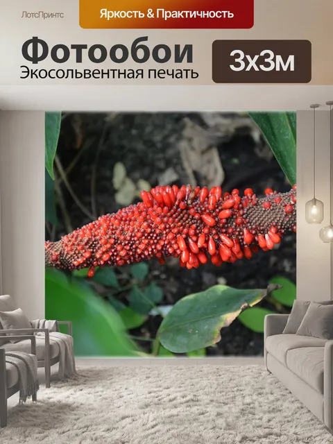 Фотообои Цветы 1,03