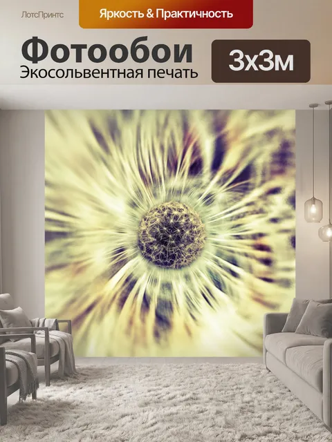 Фотообои Одуванчик