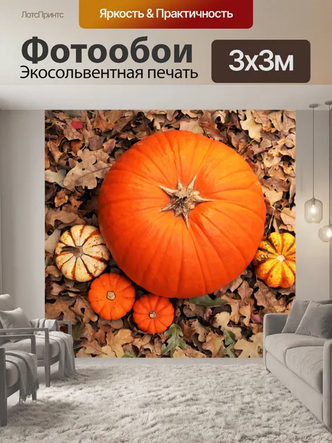 Фотообои Тыквы в листьях вид сверху