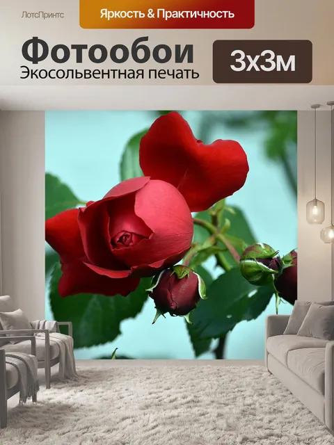 Фотообои Розы