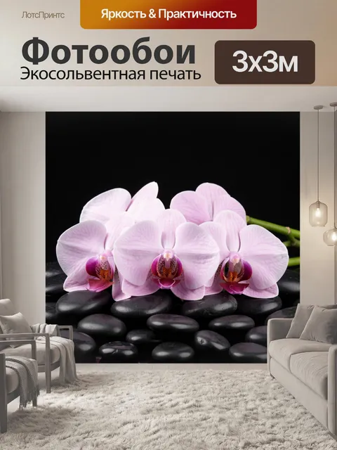 Фотообои Нежные орхидеи на черных камнях