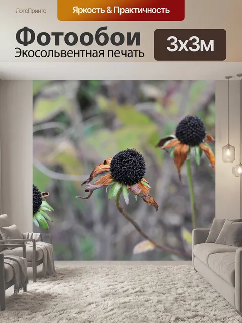 Фотообои Ботанический