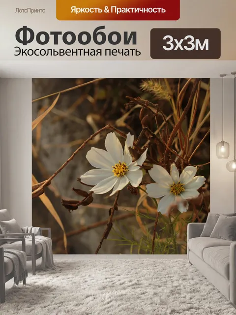 Фотообои Космос