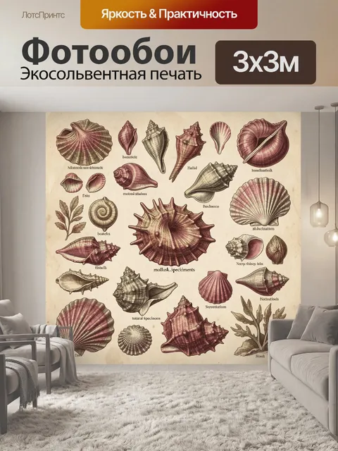Фотообои Ракушки и морские конусы