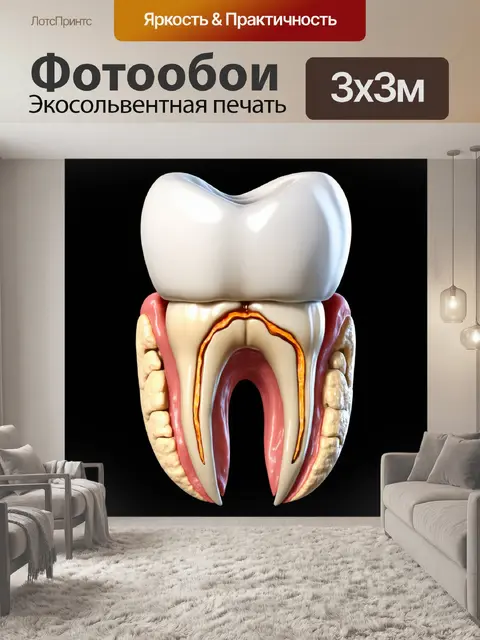 Фотообои научный реализм: динамичный 3d-изображение анатомии зуба