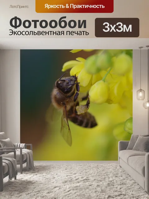 Фотообои Пчела