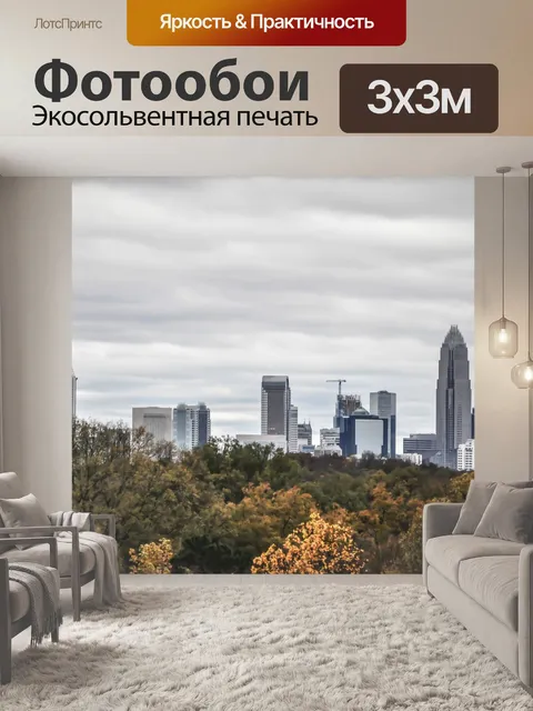 Фотообои Горизонты города