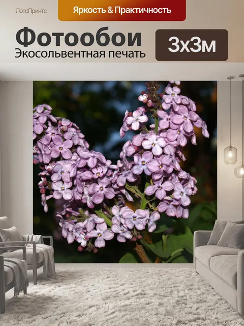 Фотообои Сирена flower