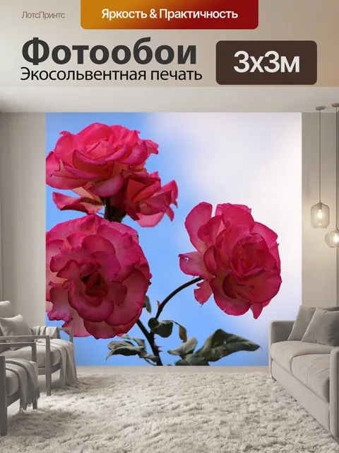 Фотообои Pink rose