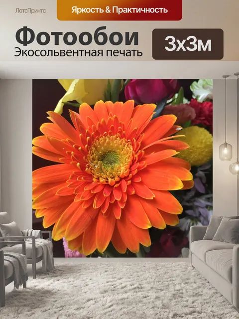 Фотообои Оранжевая маргаритка