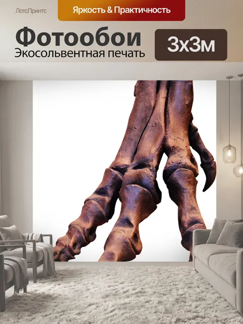 Фотообои Trex