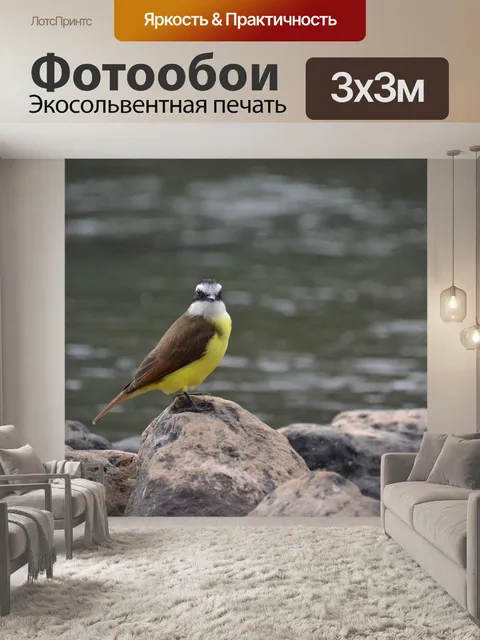 Фотообои Птичка