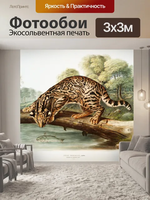 Фотообои Кошка большая кошка старинное искусство