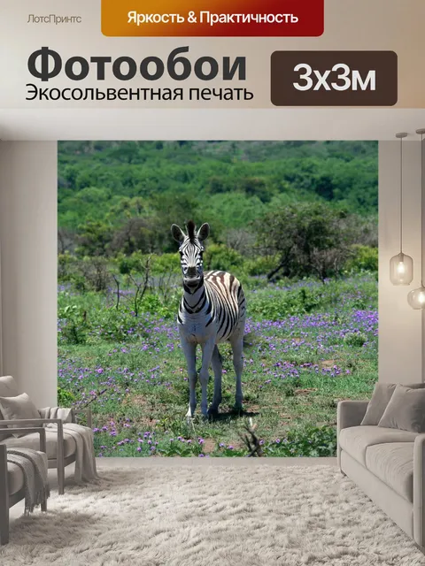 Фотообои Зебра потянув губ