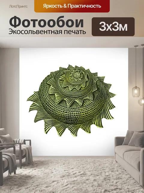 Фотообои Винтажный клипарт Seashell