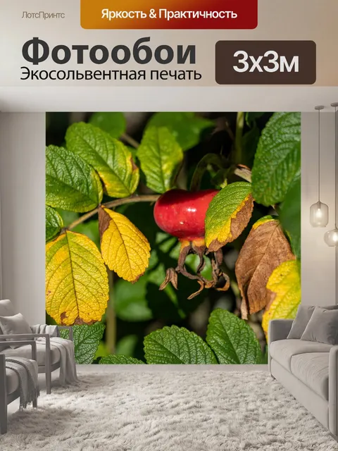 Фотообои Дерево
