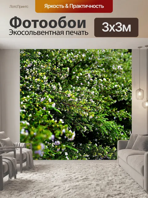 Фотообои Свежесть