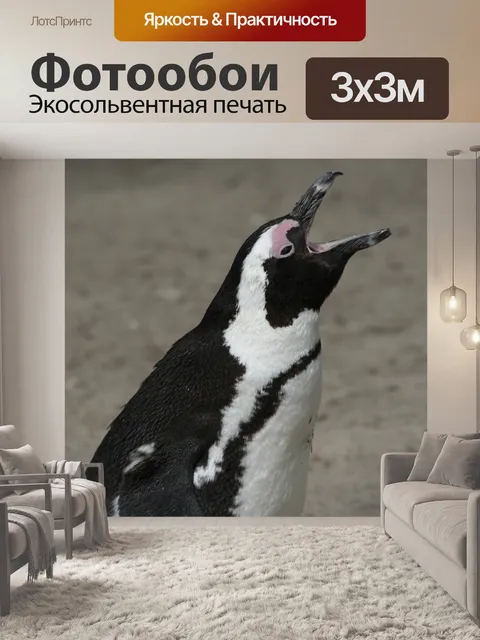 Фотообои Пингвин