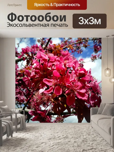 Фотообои Чернослив