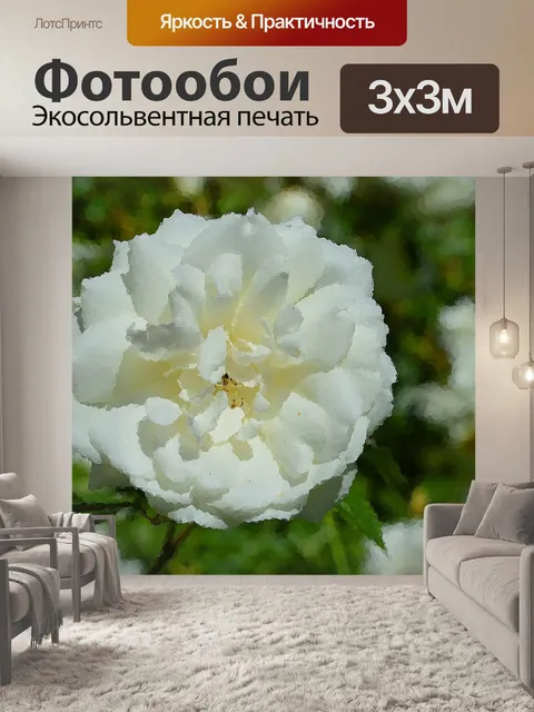 Фотообои Розовый