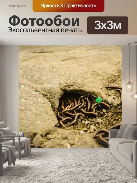 Фотообои Черви