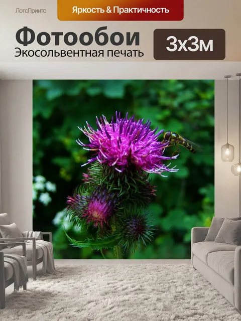 Фотообои Цветок чертополоха