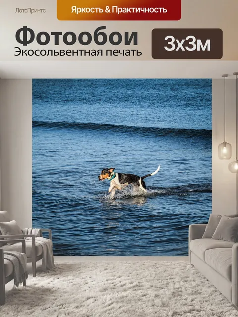 Фотообои Морской берег