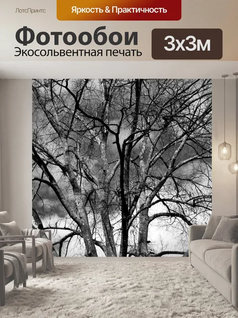 Фотообои Бесплодное дерево
