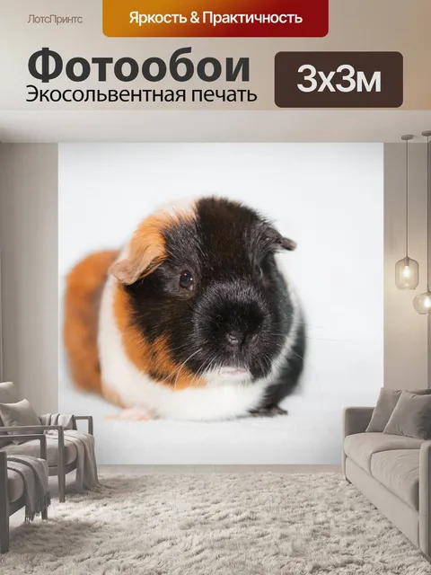 Фотообои Млекопитающие