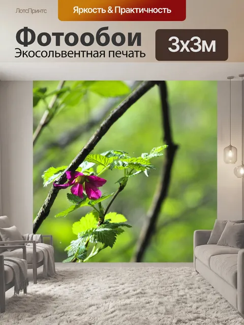 Фотообои Маленький розовый цветок