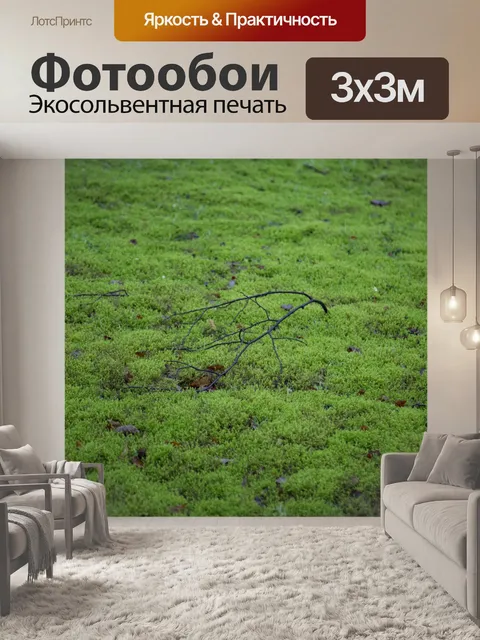 Фотообои Мох