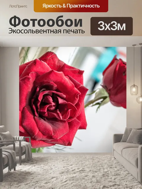 Фотообои Красные розы