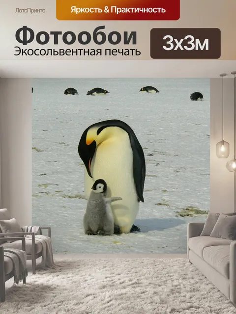 Фотообои Пингвины