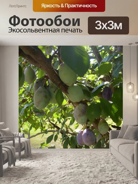Фотообои Слива