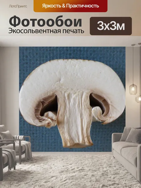 Фотообои Гриб