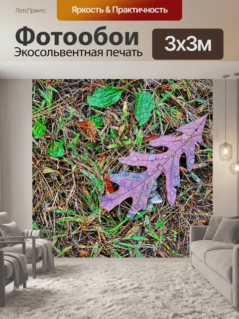 Фотообои Дождь поцеловал дубовый лист