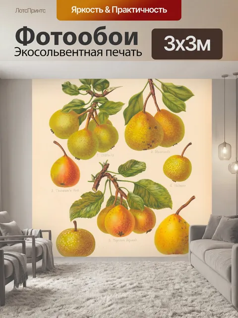 Фотообои Груши фрукты винтажные