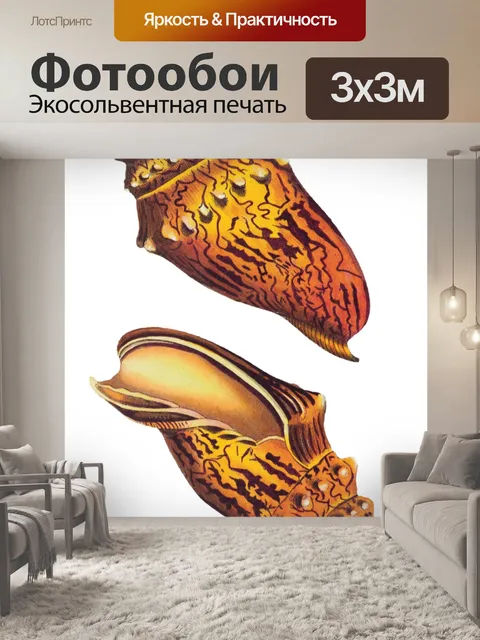 Фотообои Раковина улитка винтажное искусство